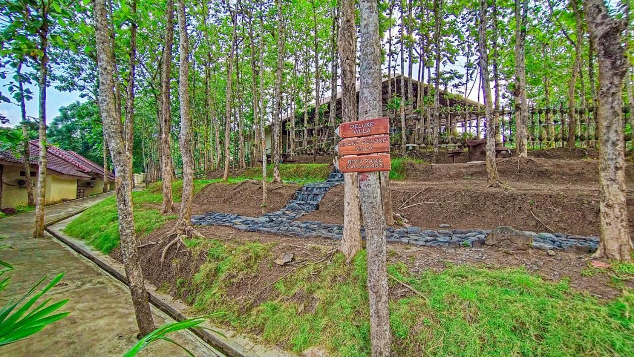 Kasuari Exotic Resort 마겔랑 외부 사진